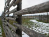 Забор зимнего патбища (от Игоря)